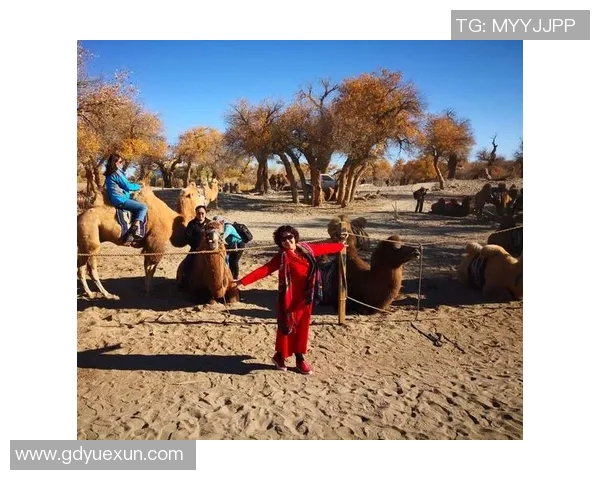 极限挑战与梦想追逐:北京极限运动队的奋斗与荣耀之路